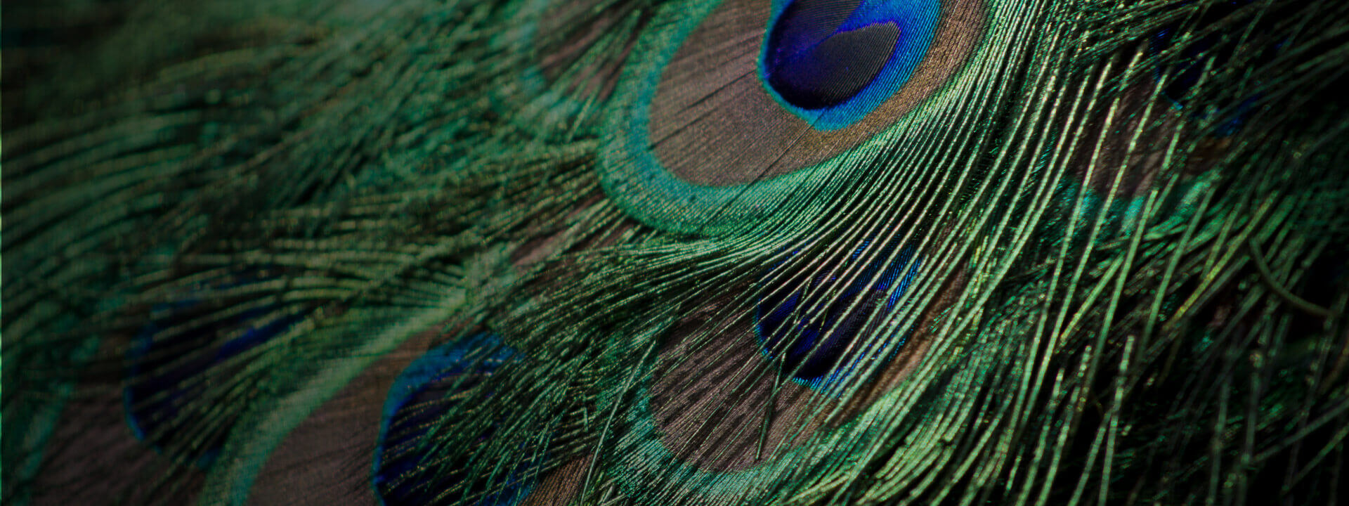 10 Incredible Patterns & Textures Techniques